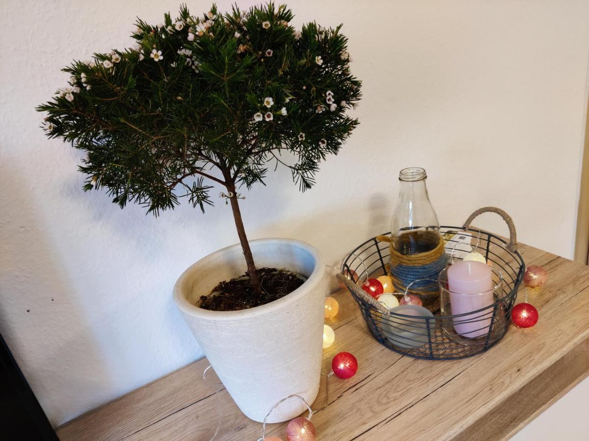 Ferienwohnung Brunow "In Der Natur Zuhause" Neundorf  Bagian luar foto