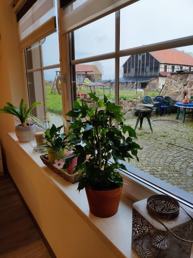 Ferienwohnung Brunow "In Der Natur Zuhause" Neundorf  Bagian luar foto
