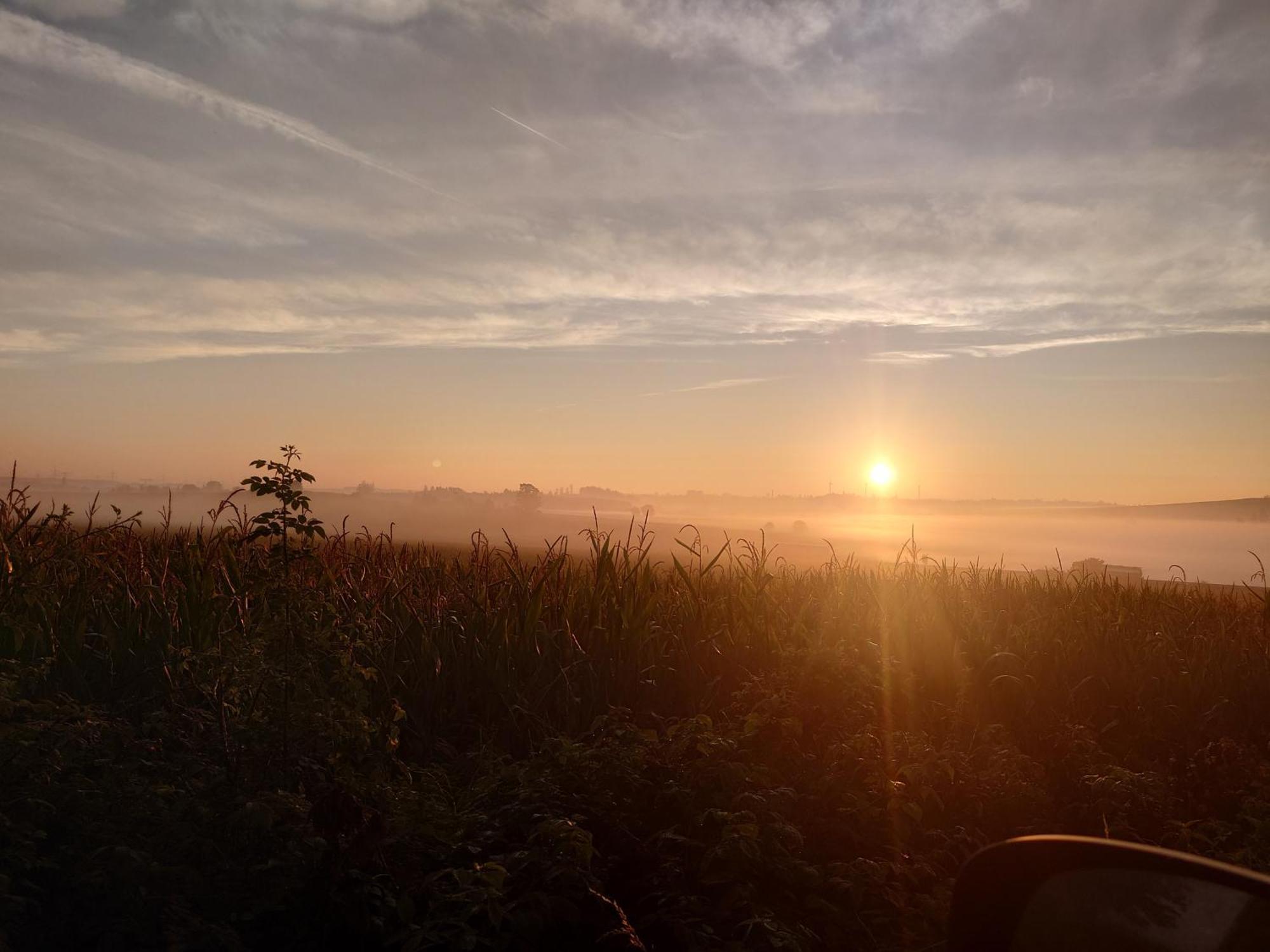 Ferienwohnung Brunow "In Der Natur Zuhause" Neundorf  Bagian luar foto